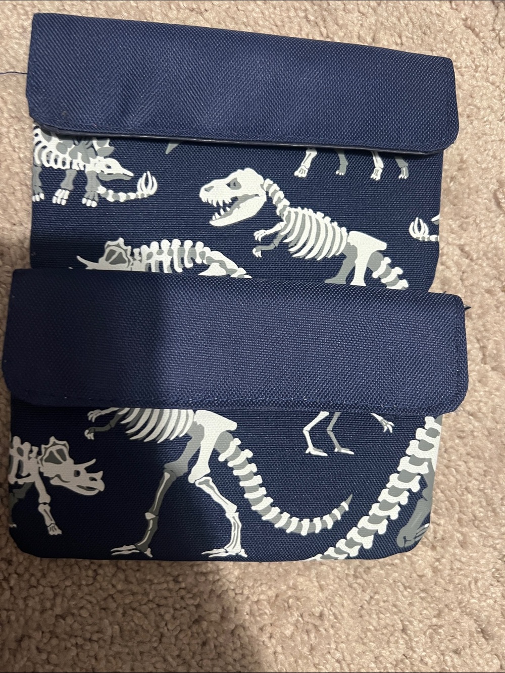Pottery Barn Kids Navy Blue Dinosaur Skeleton Pouches
